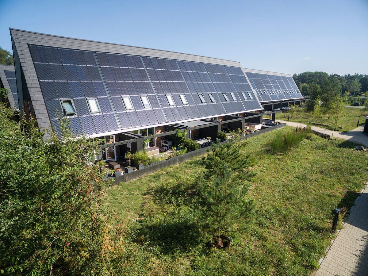 View of Galvanized steel raised bed review: Surprising design flaw exposed! - MSN