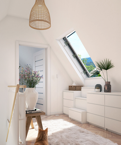 Access roof lights and escape windows